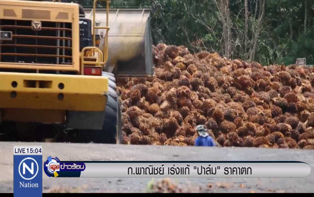 พาณิชย์เร่งแก้ "ปาล์ม" ราคาตก พาณิชย์เร่งแก้ "ปาล์ม" ราคาตก