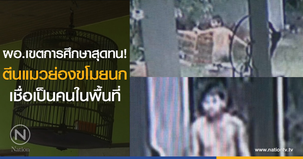 ผอ.เขตการศึกษาสุดทน!
ตีนแมวย่องขโมยนก
เชื่อเป็นคนในพื้นที่