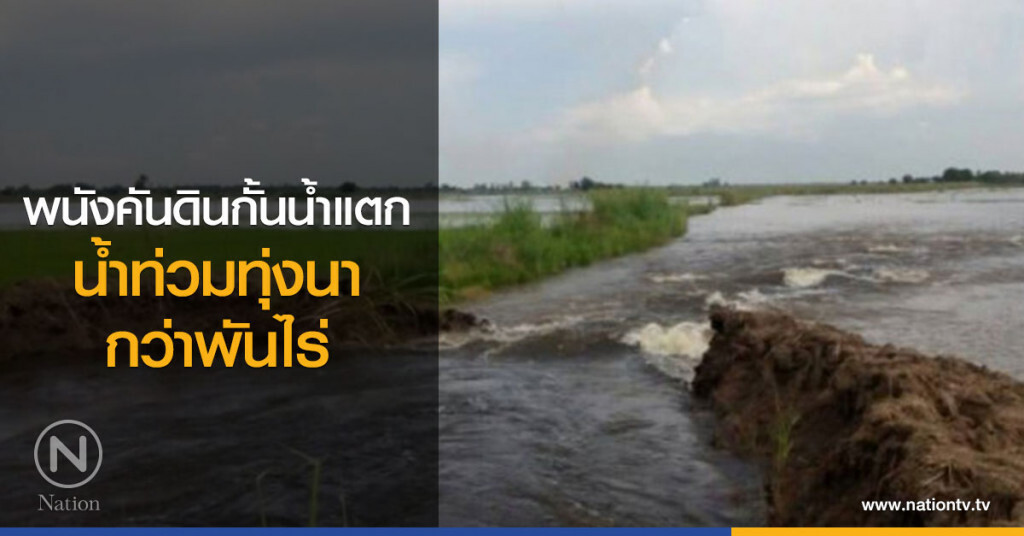 พนังคันดินกั้นน้ำแตก น้ำท่วมทุ่งนากว่า1,000ไร่ พนังคันดินกั้นน้ำแตก น้ำท่วมทุ่งนากว่า1,000ไร่