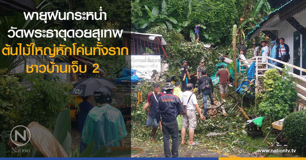 พายุฝนกระหน่ำ
วัดพระธาตุดอยสุเทพ
ต้นไม้ใหญ่หักโค่นทั้งราก เจ็บ 2 พายุฝนกระหน่ำ
วัดพระธาตุดอยสุเทพ
ต้นไม้ใหญ่หักโค่นทั้งราก เจ็บ 2