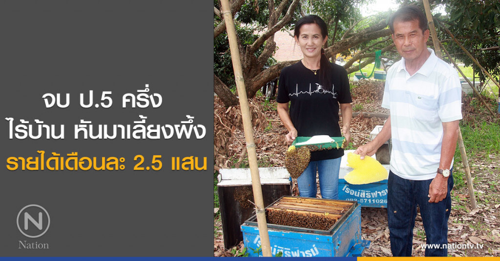 จบ ป.5 ครึ่ง ไร้บ้าน หันมาเลี้ยงผึ้ง รายได้เดือนละ 2.5 แสน จบ ป.5 ครึ่ง ไร้บ้าน หันมาเลี้ยงผึ้ง รายได้เดือนละ 2.5 แสน