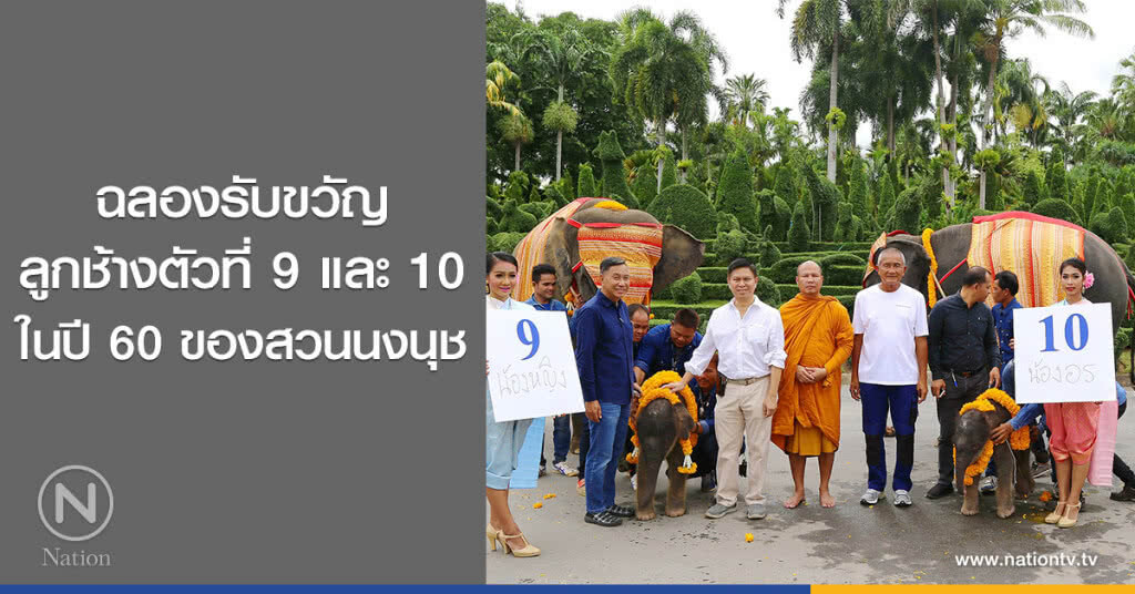 ฉลองรับขวัญ
ลูกช้างตัวที่ 9 และ 10
ในปี 60 ของสวนนงนุช ฉลองรับขวัญ
ลูกช้างตัวที่ 9 และ 10
ในปี 60 ของสวนนงนุช