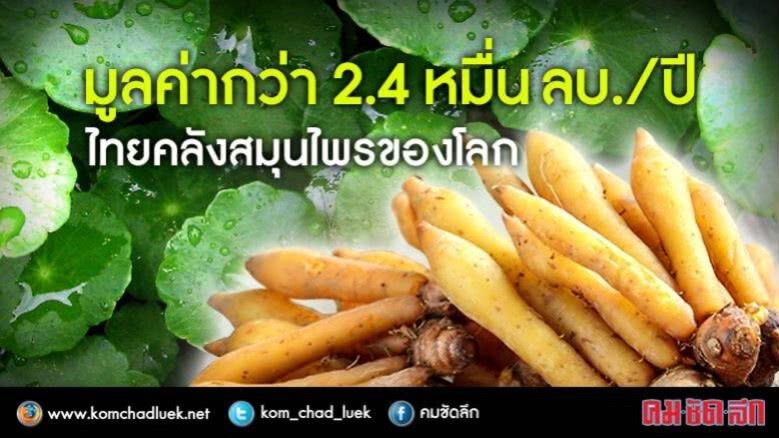 ไทยส่งออกวัตถุดิบสมุนไพรมูลค่ากว่า 2.4 หมื่นล้านบาทต่อปี ไทยส่งออกวัตถุดิบสมุนไพรมูลค่ากว่า 2.4 หมื่นล้านบาทต่อปี