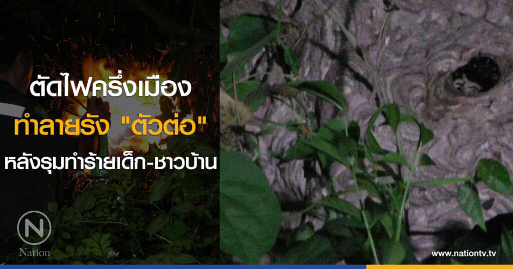 ตัดไฟครึ่งเมือง
ทำลายรัง "ตัวต่อ"
หลังรุมทำร้ายเด็ก-ชาวบ้าน ตัดไฟครึ่งเมือง
ทำลายรัง "ตัวต่อ"
หลังรุมทำร้ายเด็ก-ชาวบ้าน