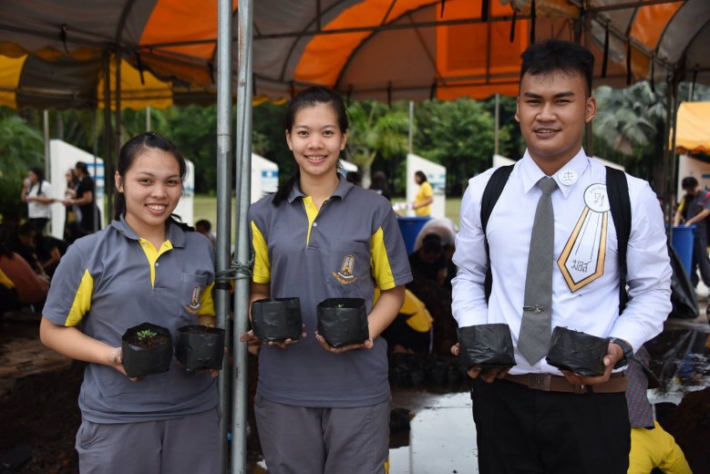 ปลูกดอกดาวเรืองแปรสัญลักษณ์เลข ๙