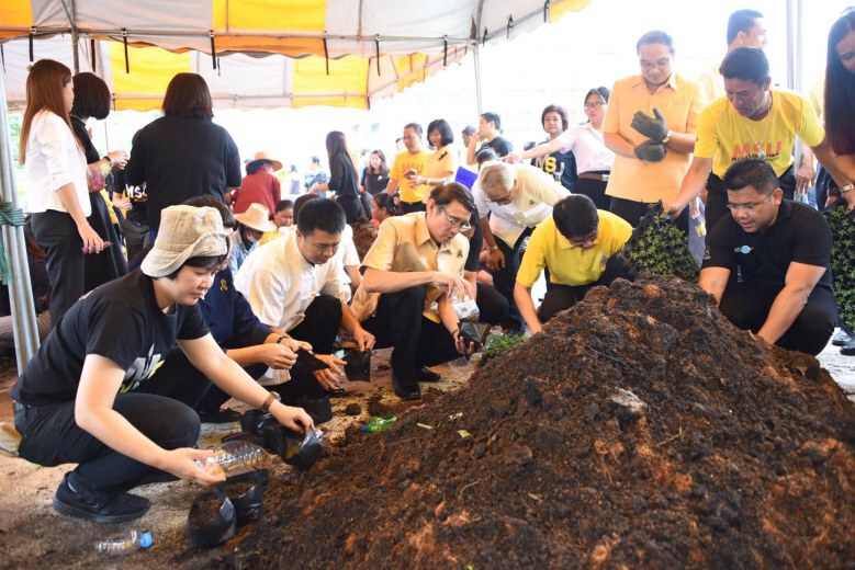 ปลูกดอกดาวเรืองแปรสัญลักษณ์เลข ๙