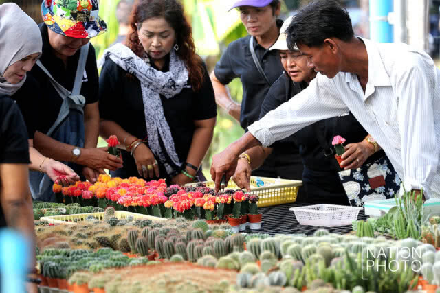 วาเลนไทน์พันธุ์ไม้ สุไหงโก-ลก
ดง "แคตตัส" ออนไลน์ที่ใหญ่สุด หนึ่งเดียวชายแดนใต้