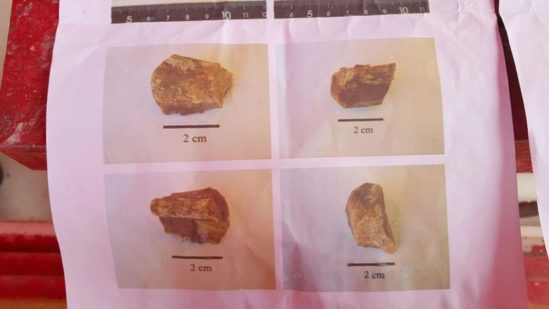 พบซากฟอสซิล-ฟันไดโนเสาร์ที่เชิงเขาชี