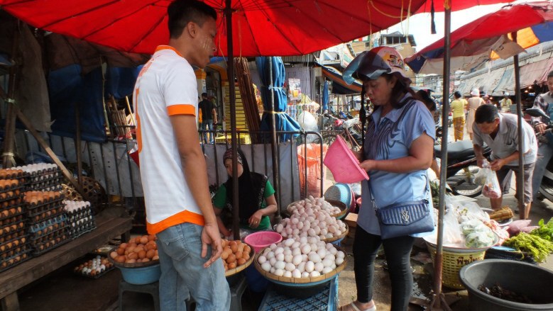 ชาวเมียนมาร์ ผวาไข้หวัดเอช 1 เอ็น1 หันซื้อไข่ไทย