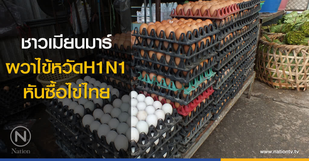 ชาวเมียนมาร์ ผวาไข้หวัดเอช 1 เอ็น1 หันซื้อไข่ไทย ชาวเมียนมาร์ ผวาไข้หวัดเอช 1 เอ็น1 หันซื้อไข่ไทย