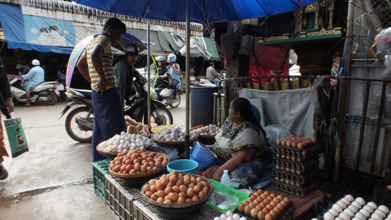 ชาวเมียนมาร์ ผวาไข้หวัดเอช 1 เอ็น1 หันซื้อไข่ไทย