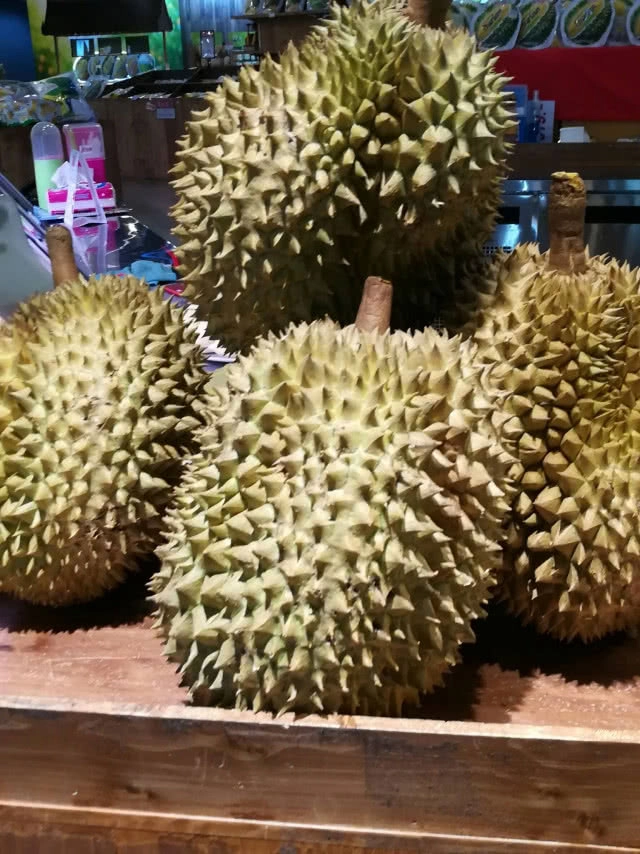 กระแตพาชม  "ห้องทานทุเรียน" ที่แรกในโลก