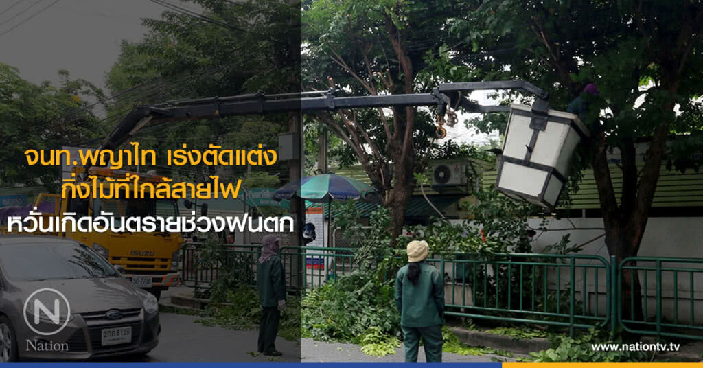 จนท.พญาไท เร่งตัดแต่งกิ่งไม้ที่ใกล้สายไฟ หวั่นเกิดอันตรายช่วงฝนตก