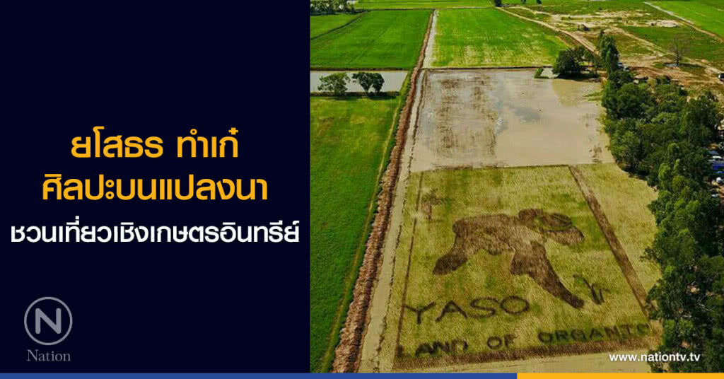 ยโสธร ทำเก๋ ศิลปะบนแปลงนา
ชวนเที่ยวเชิงเกษตรอินทรีย์ ยโสธร ทำเก๋ ศิลปะบนแปลงนา
ชวนเที่ยวเชิงเกษตรอินทรีย์