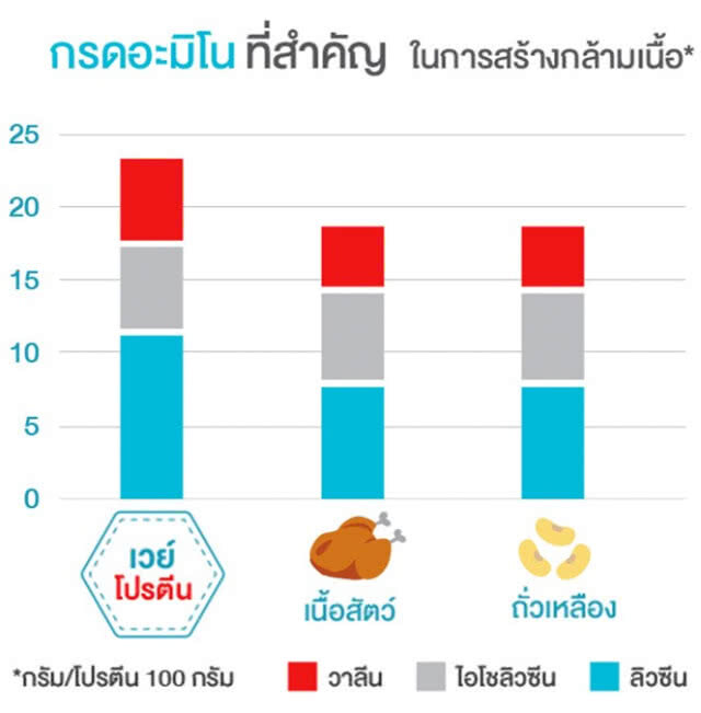 สูงวัย สมัยใหม่ ดูแลด้วย "เวย์โปรตีน" ใน 6 เหลี่ยมสุขภาพ