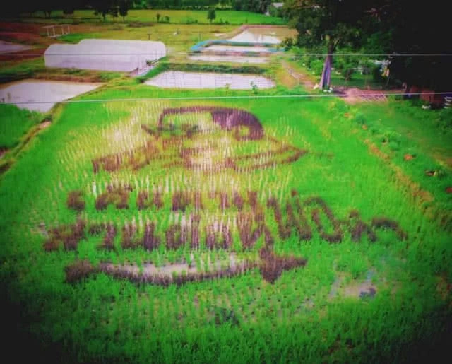 ยโสธร ทำเก๋ ศิลปะบนแปลงนา
ชวนเที่ยวเชิงเกษตรอินทรีย์
