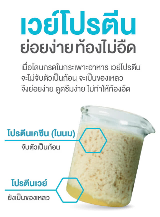 สูงวัย สมัยใหม่ ดูแลด้วย "เวย์โปรตีน" ใน 6 เหลี่ยมสุขภาพ