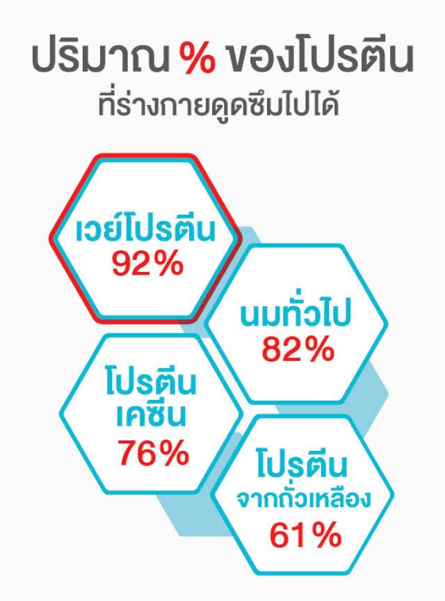 สูงวัย สมัยใหม่ ดูแลด้วย "เวย์โปรตีน" ใน 6 เหลี่ยมสุขภาพ