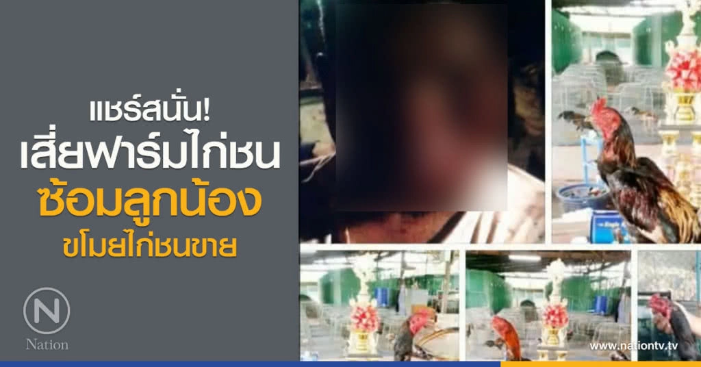 แชร์สนั่น!
เสี่ยฟาร์มไก่ชน
ซ้อมลูกน้องขโมยไก่ชนขาย