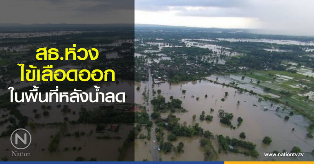 สธ.ห่วงไข้เลือดออกในพื้นที่หลังน้ำลด
