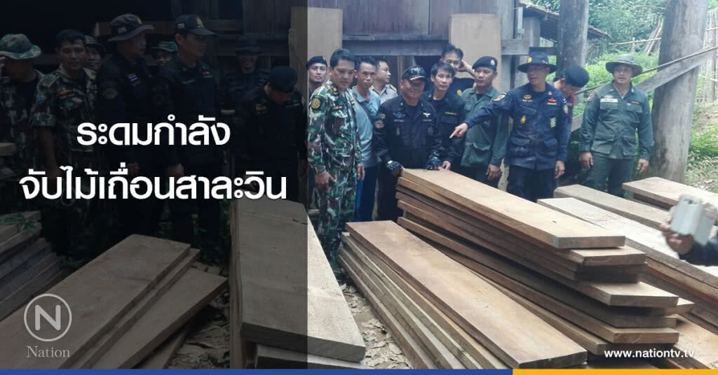 ระดมกำลัง
จับไม้เถื่อนสาละวิน