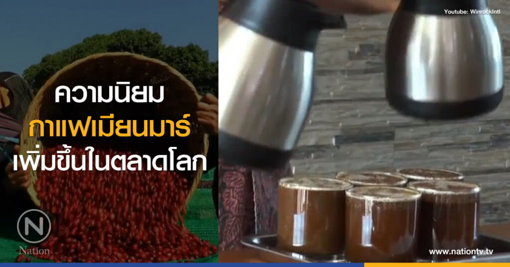 ความนิยม
กาแฟเมียนมาร์
เพิ่มขึ้นในตลาดโลก ความนิยม
กาแฟเมียนมาร์
เพิ่มขึ้นในตลาดโลก
