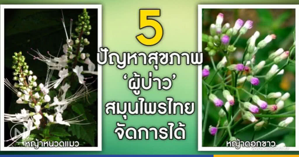 5 ปัญหาสุขภาพ "ผู้บ่าว"สมุนไพรไทยจัดการได้