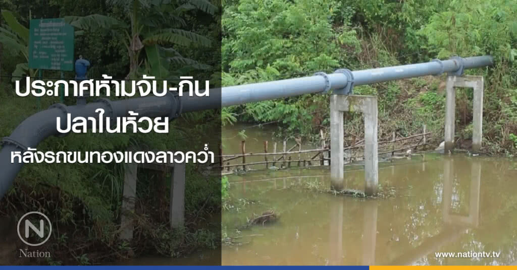 ประกาศห้ามจับ-กิน
ปลาในห้วย
หลังรถขนทองแดงลาวคว่ำ ประกาศห้ามจับ-กิน
ปลาในห้วย
หลังรถขนทองแดงลาวคว่ำ