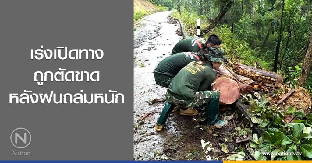 เร่งเปิดทาง
ถูกตัดขาด
หลังฝนถล่มหนัก เร่งเปิดทาง
ถูกตัดขาด
หลังฝนถล่มหนัก