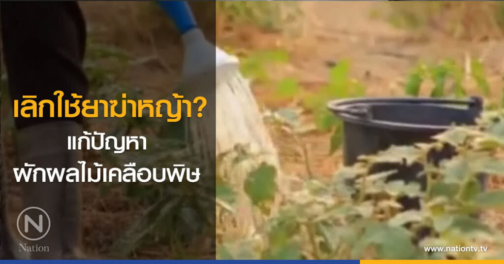 เลิกใช้ยาฆ่าหญ้า? แก้ปัญหาผักผลไม้เคลือบพิษ