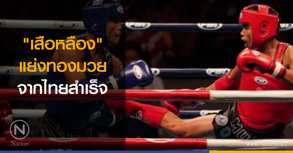 "เสือหลือง" แย่งทองมวยจากไทยสำเร็จ "เสือหลือง" แย่งทองมวยจากไทยสำเร็จ