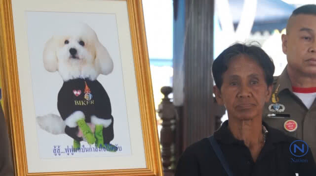 ในหลวงพระราชทานอาหารสัตว์ให้คุณป้าวรรณดีที่รับจ้างล้างส้วมเลี้ยงสุนัขนำไปเลี้ยงดูสุนัขของตนทั้ง43ตัว