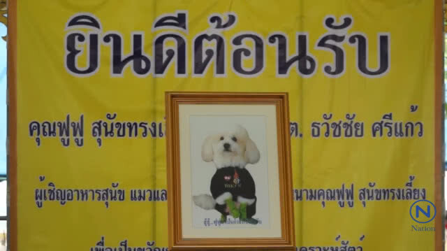 ในหลวงพระราชทานอาหารสัตว์ให้คุณป้าวรรณดีที่รับจ้างล้างส้วมเลี้ยงสุนัขนำไปเลี้ยงดูสุนัขของตนทั้ง43ตัว