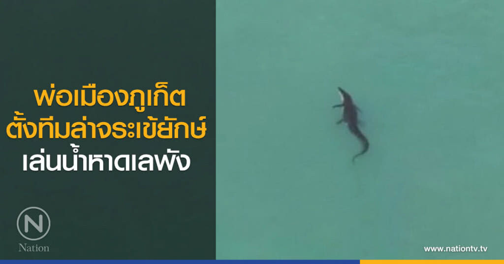 ล่าจระเข้เล่นน้ำหาดเลพัง ล่าจระเข้เล่นน้ำหาดเลพัง
