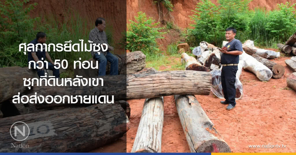 ศุลกากรยึดไม้ซุง
กว่า 50 ท่อน
ซุกที่ดินหลังเขา
ส่อส่งออกชายแดน