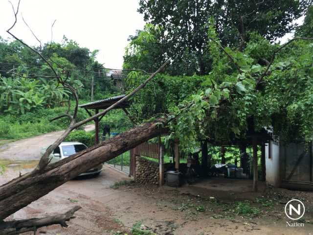 แม่ฮ่องสอนฝนหนัก! ไม้ล้มรั้วโรงเรียนพัง