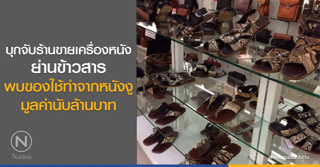 บุกจับร้านขายเครื่องหนัง
ย่านข้าวสาร
พบของใช้ทำจากหนังงู
มูลค่านับล้านบาท บุกจับร้านขายเครื่องหนัง
ย่านข้าวสาร
พบของใช้ทำจากหนังงู
มูลค่านับล้านบาท