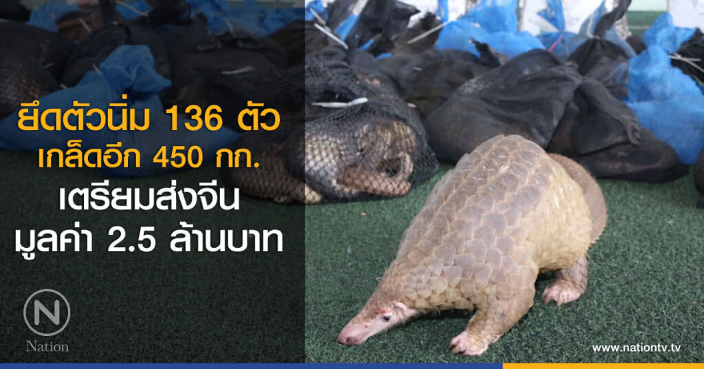 กรุมศุลฯยึดตัวนิ่ม136ตัว เกล็ดอีก450กก.ค่า2.5ล้านลักลอบนำเข้าจากมาเลย์มีเป้าหมายส่งจีน