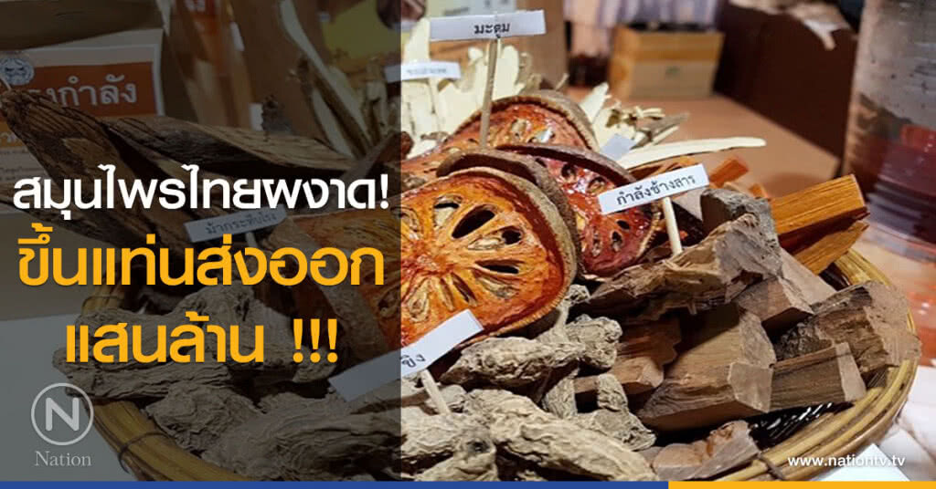 สมุนไพรไทยผงาด! ขึ้นแท่นส่งออกแสนล้าน !!! สมุนไพรไทยผงาด! ขึ้นแท่นส่งออกแสนล้าน !!!