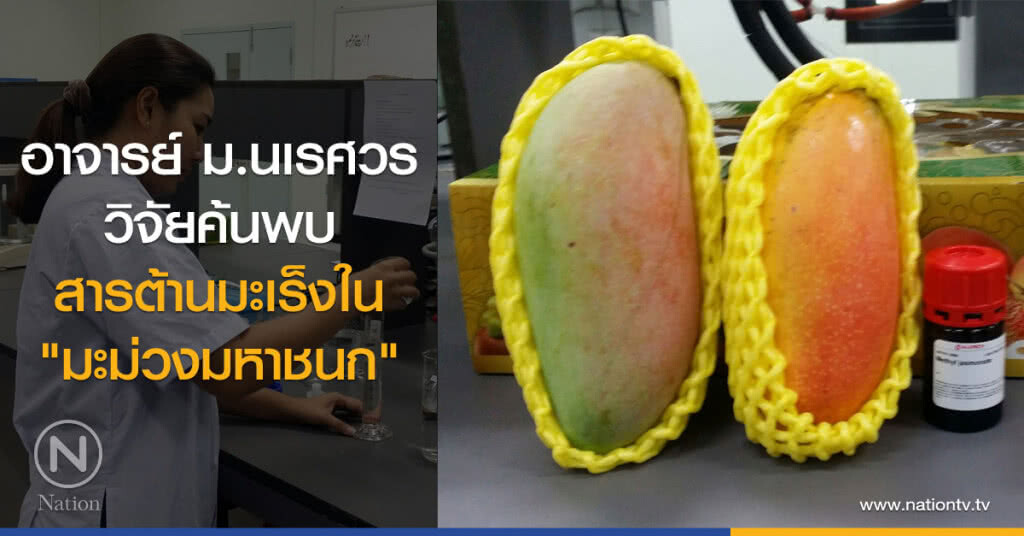 อาจารย์ ม.นเรศวร
วิจัยค้นพบ
สารต้านมะเร็งใน
"มะม่วงมหาชนก"