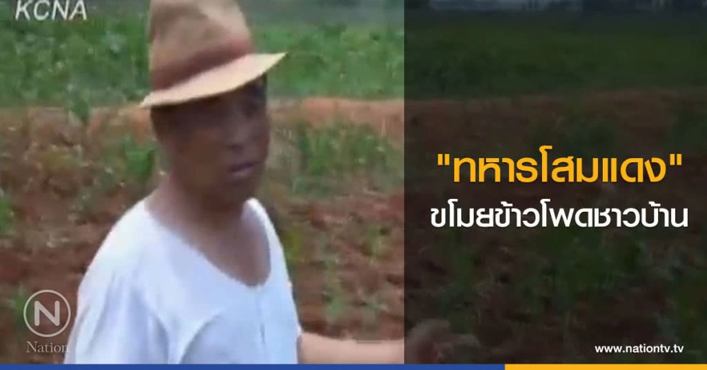 "ทหารโสมแดง" ขโมยข้าวโพดชาวบ้าน