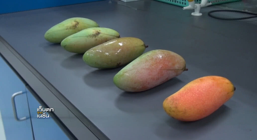 เก็บตกเที่ยง l ช่วงที่ 2 l 01-08-60 เก็บตกเที่ยง l ช่วงที่ 2 l 01-08-60