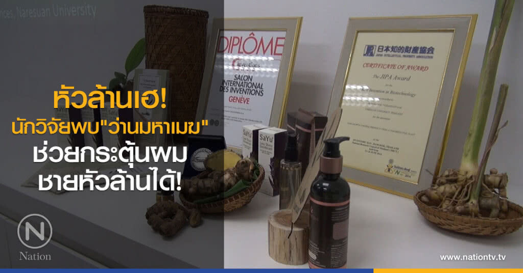 หัวล้านเฮ!
นักวิจัยพบ
"ว่านมหาเมฆ"
ช่วยกระตุ้นผม ชายหัวล้านได้!