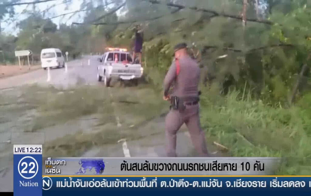 ต้นสนล้มขวางถนน รถชนเสียหาย 10 คัน ต้นสนล้มขวางถนน รถชนเสียหาย 10 คัน