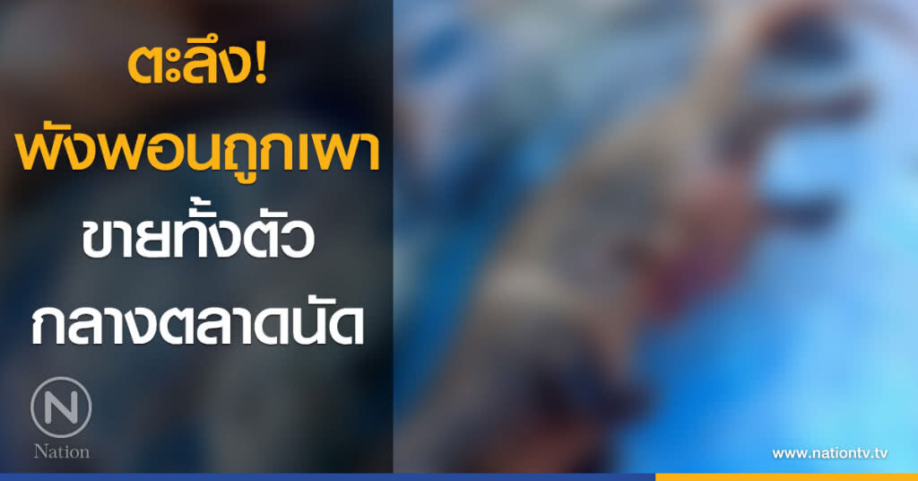 ตะลึง! พังพอนถูกเผาขายทั้งตัว กลางตลาดนัด
