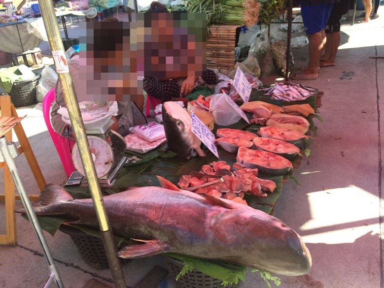 ตะลึง! พังพอนถูกเผาขายทั้งตัว กลางตลาดนัด