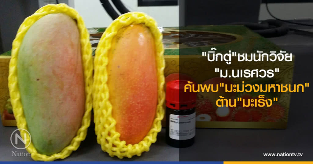 "บิ๊กตู่"ชมนักวิจัย"ม.นเรศวร"ค้นพบ"มะม่วงมหาชนก"ต้าน"มะเร็ง"