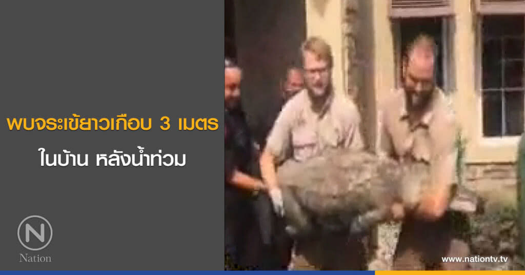 พบจระเข้ยาวเกือบ 3 เมตรในบ้าน หลังน้ำท่วม พบจระเข้ยาวเกือบ 3 เมตรในบ้าน หลังน้ำท่วม