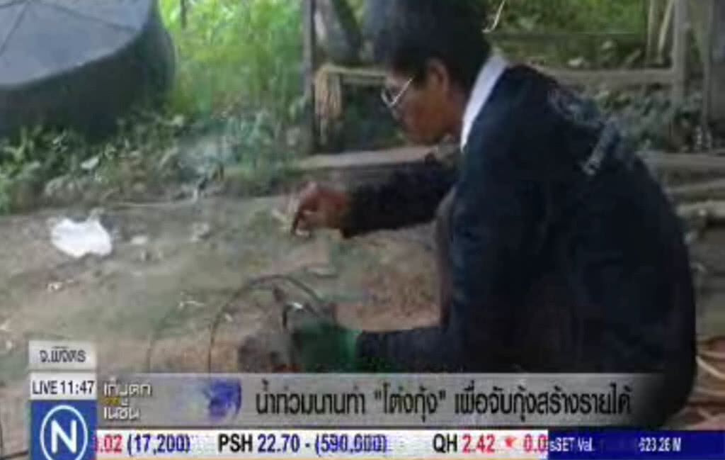 พลิกวิกฤติเป็นโอกาส ทำ "โต่งกุ้ง" ในพื้นที่น้ำท่วมขายสร้างรายได้งาม พลิกวิกฤติเป็นโอกาส ทำ "โต่งกุ้ง" ในพื้นที่น้ำท่วมขายสร้างรายได้งาม