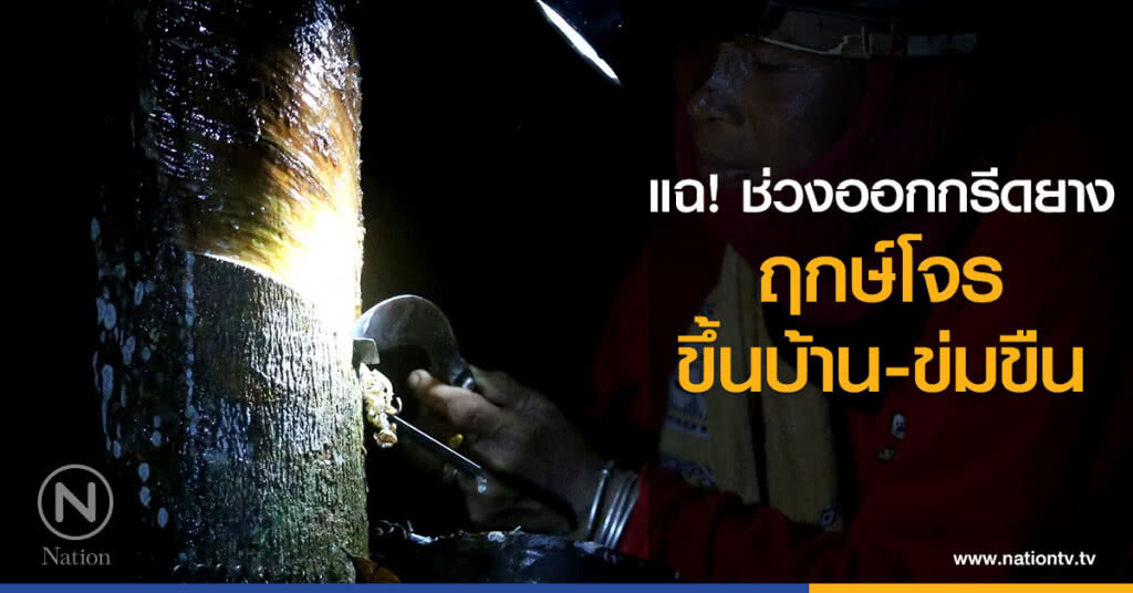 แฉช่วงออกกรีดยาง ฤกษ์โจรขึ้นบ้าน-ข่มขืน